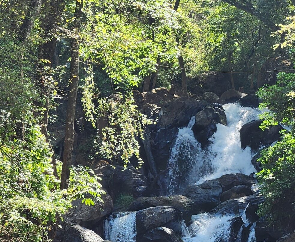 Cascadas Velo de Novia景点图片