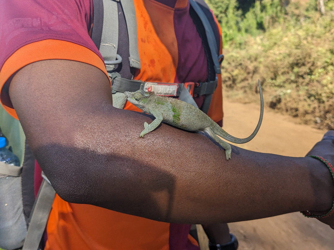 Tayodea Tour Care-卢绍托必去景点