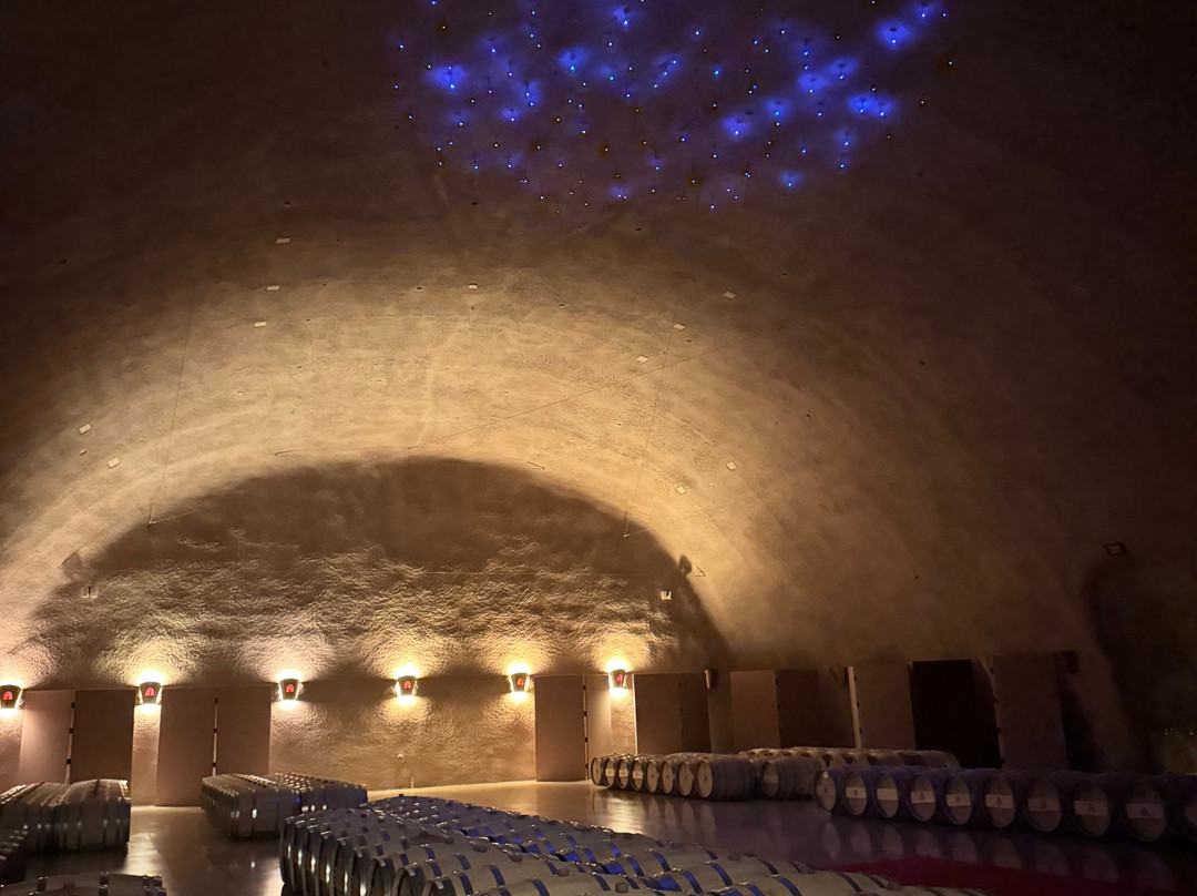 Jarvis Estate Winery-纳帕必去景点