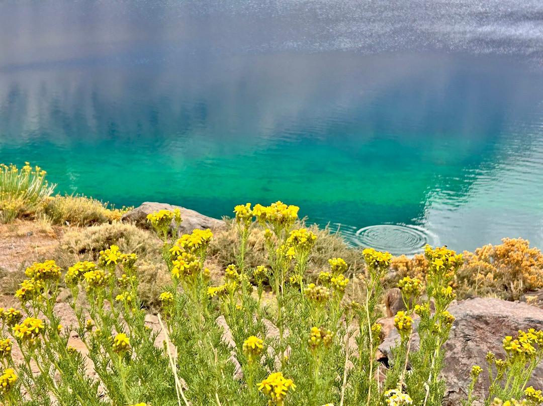 Laguna del Inca景点图片