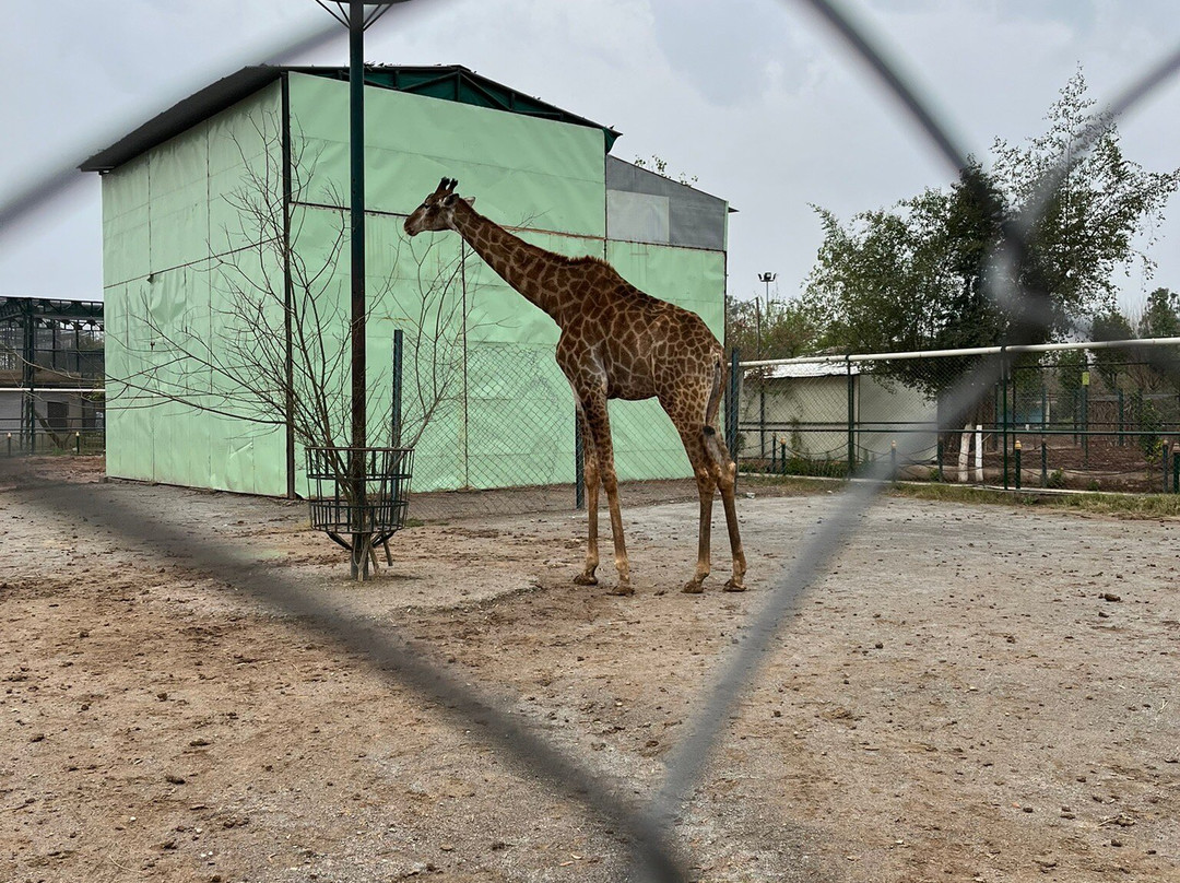 Peshawar Zoo-白沙瓦必去景点