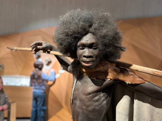 Neanderthal Museum-Mettmann必去景点