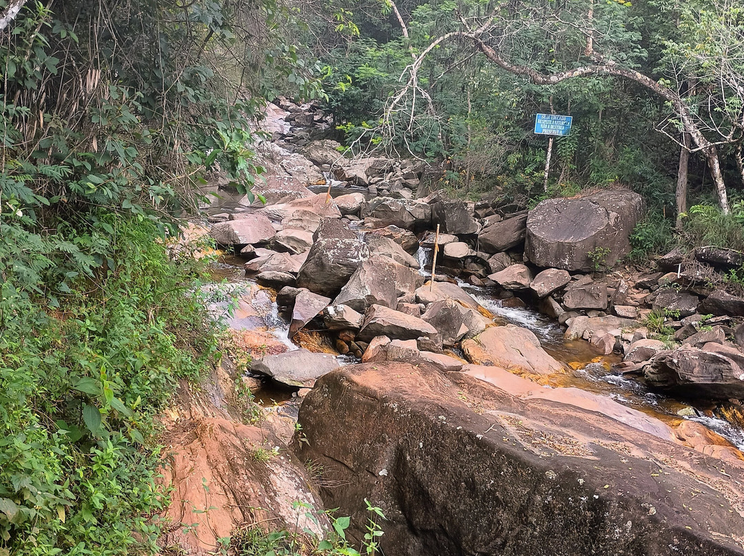 Cachoeira da Pedra Pintada景点图片