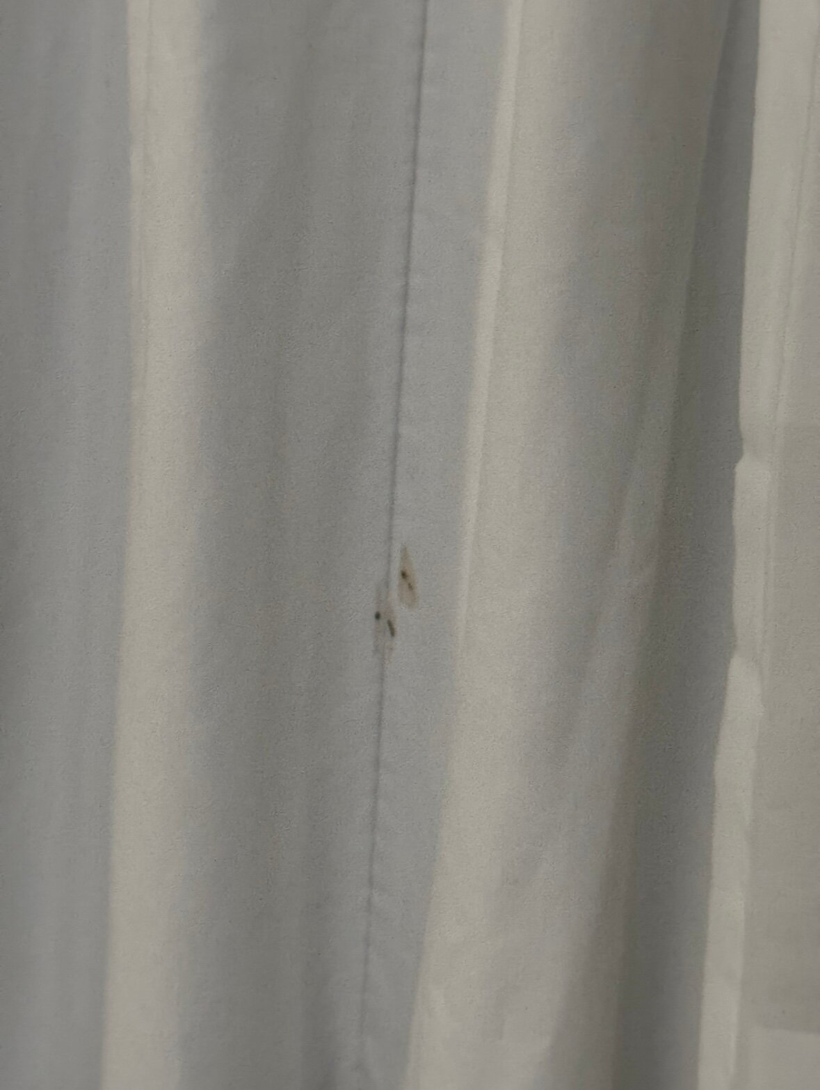 Sleep Inn Sarasota-客卧