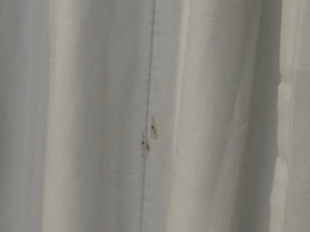 Sleep Inn Sarasota主图