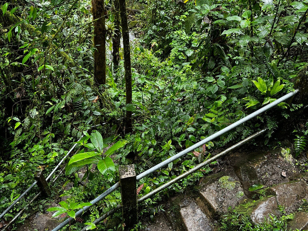 Mindo Canopy Adventure景点图片