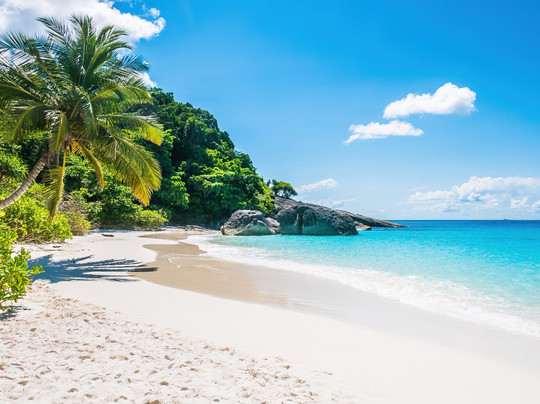 Island Drive Tours-奥乔里奥斯必去景点