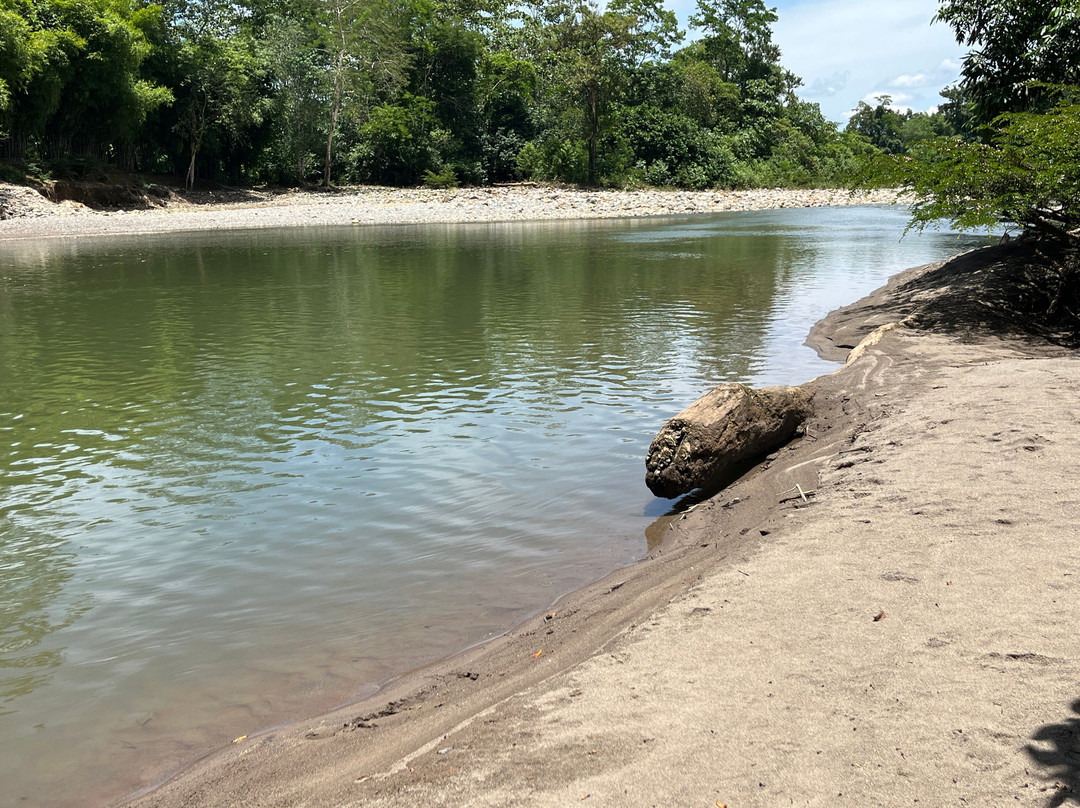 Suchipakari Amazon Eco -Lodge & Jungle Reserve