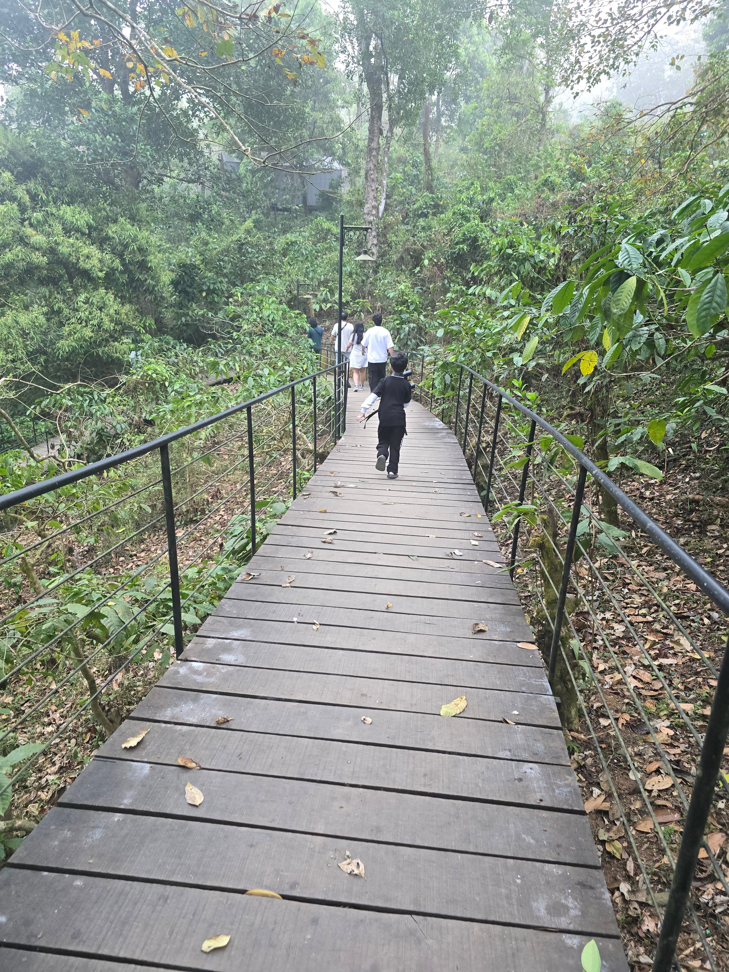 Flora Vythiri Resort-家庭/游戏区