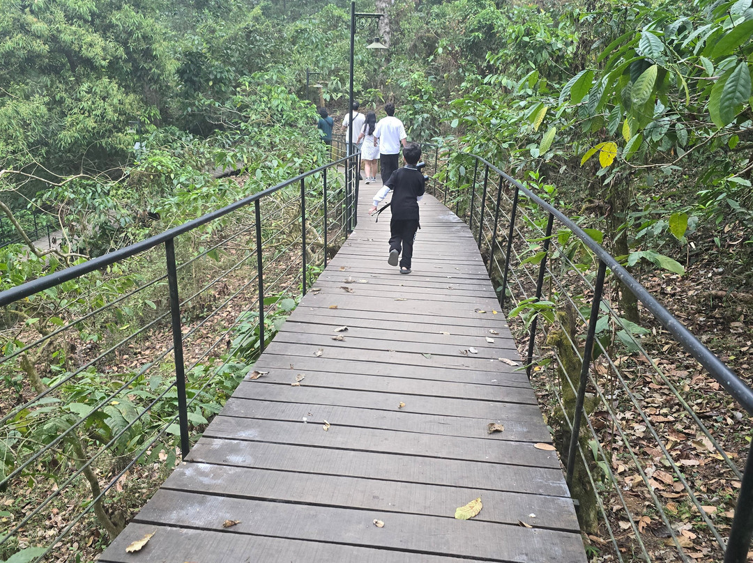 Flora Vythiri Resort主图