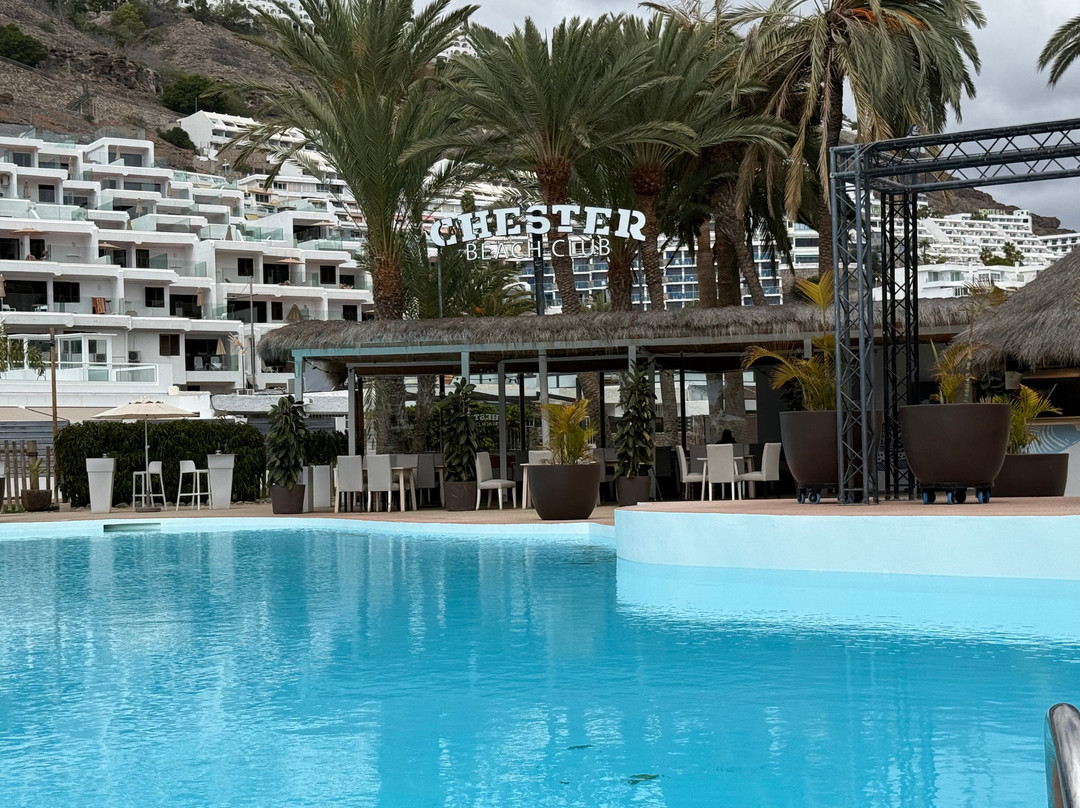 Chester Beach Club景点图片