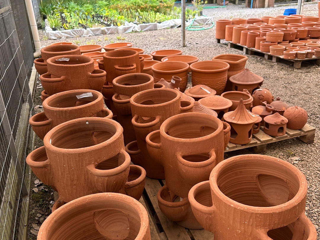 Floricultura Úrsula-Nova Petropolis必去景点