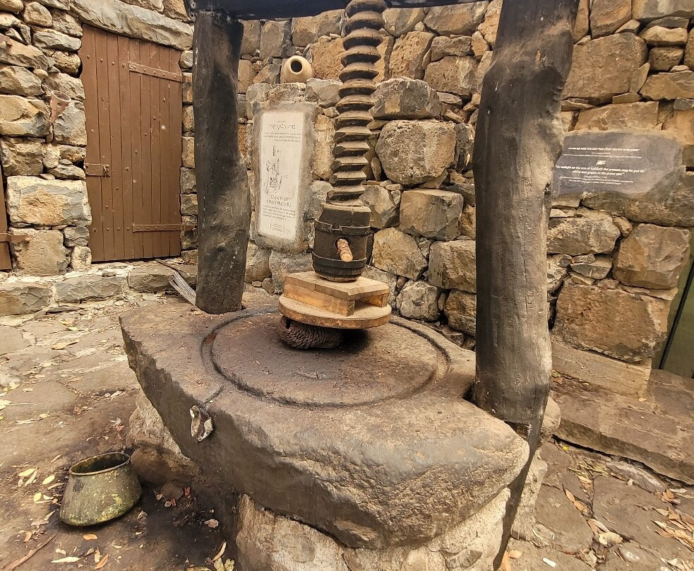 Katzrin Village Tours-Katzrin必去景点