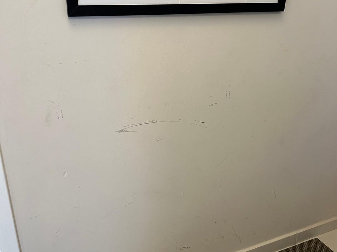 Blue Tree Towers Bauru主图