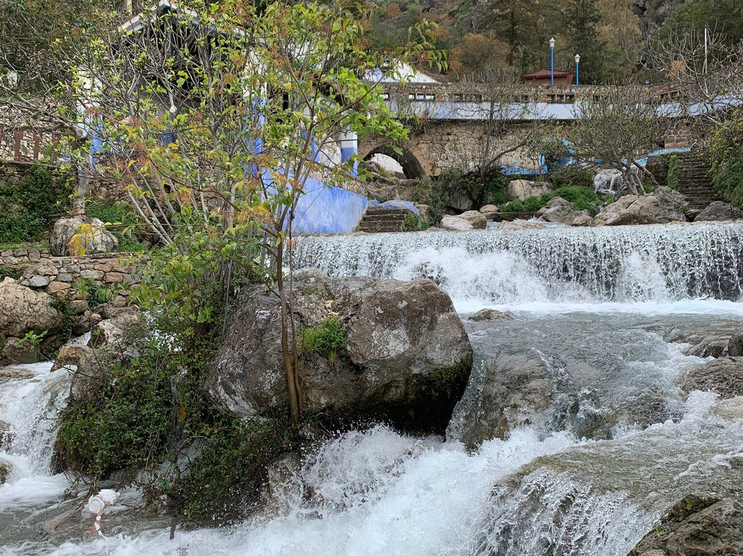 Ras El Ma-舍夫沙万必去景点