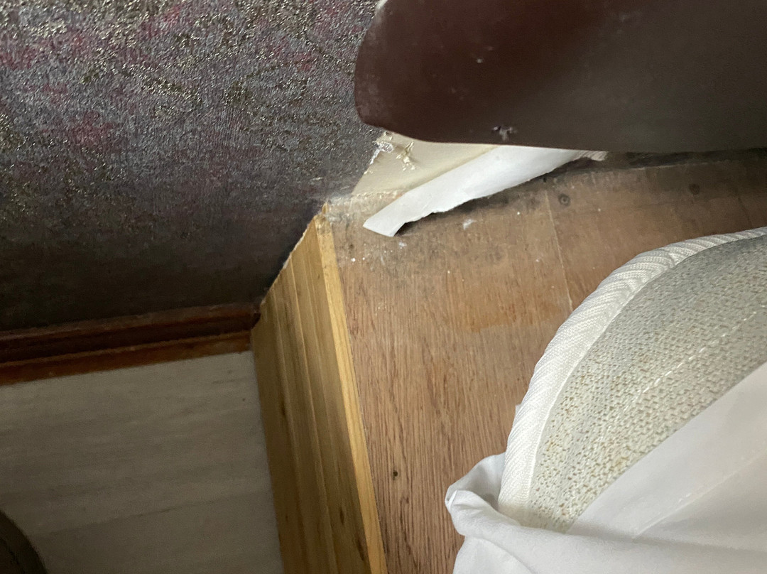 Kaowood Country Park主图