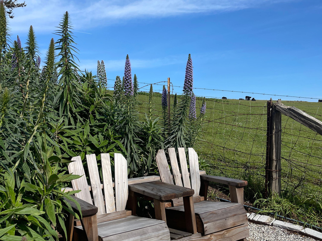 The Inn at the Tides主图