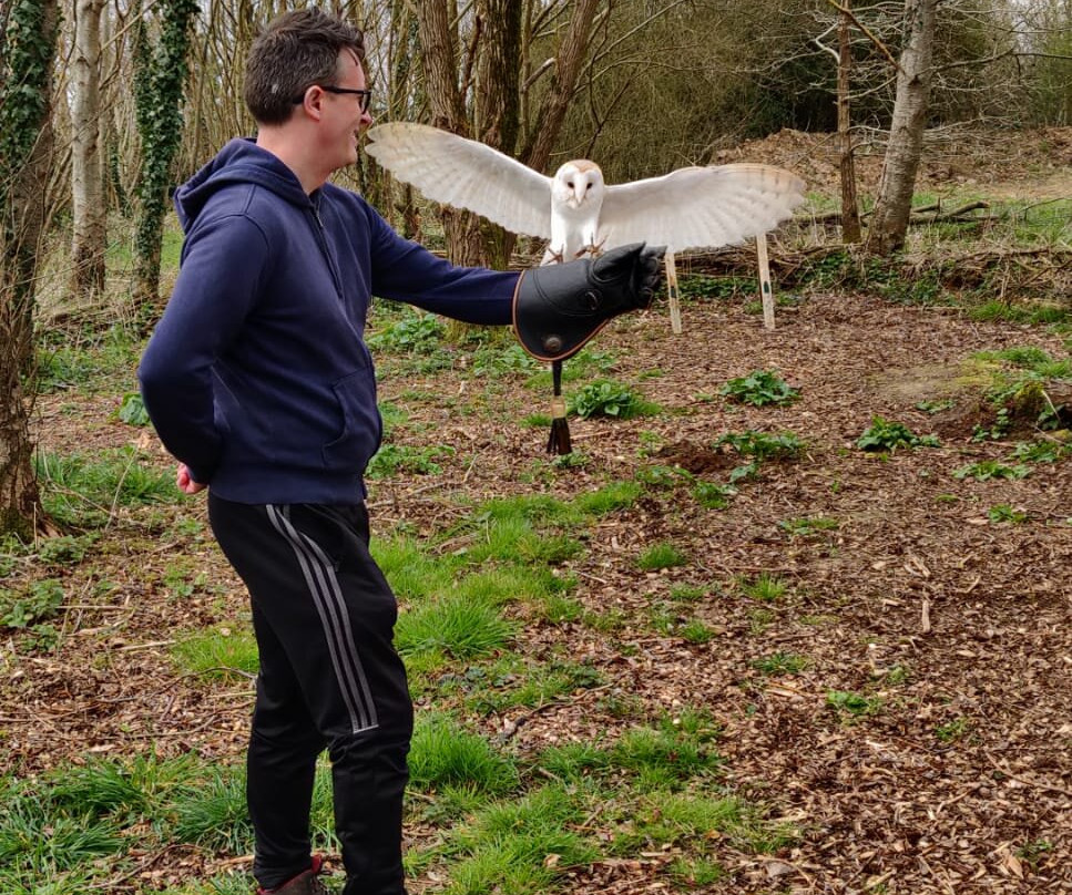 Xtreme Falconry at Dorset Falconry Park-多切斯特必去景点