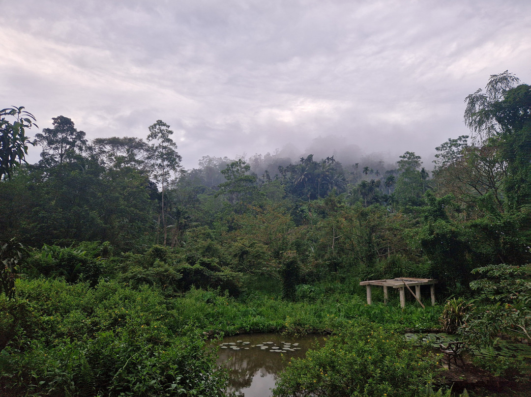 Travelon Tours Sri Lanka-瓦勒迦玛必去景点