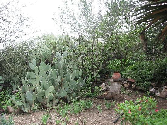 Hotel Rancho El Morillo-酒店景观