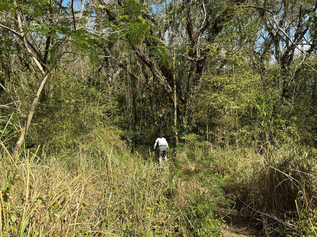 Tobago Mountain Bike Tours-多巴哥必去景点