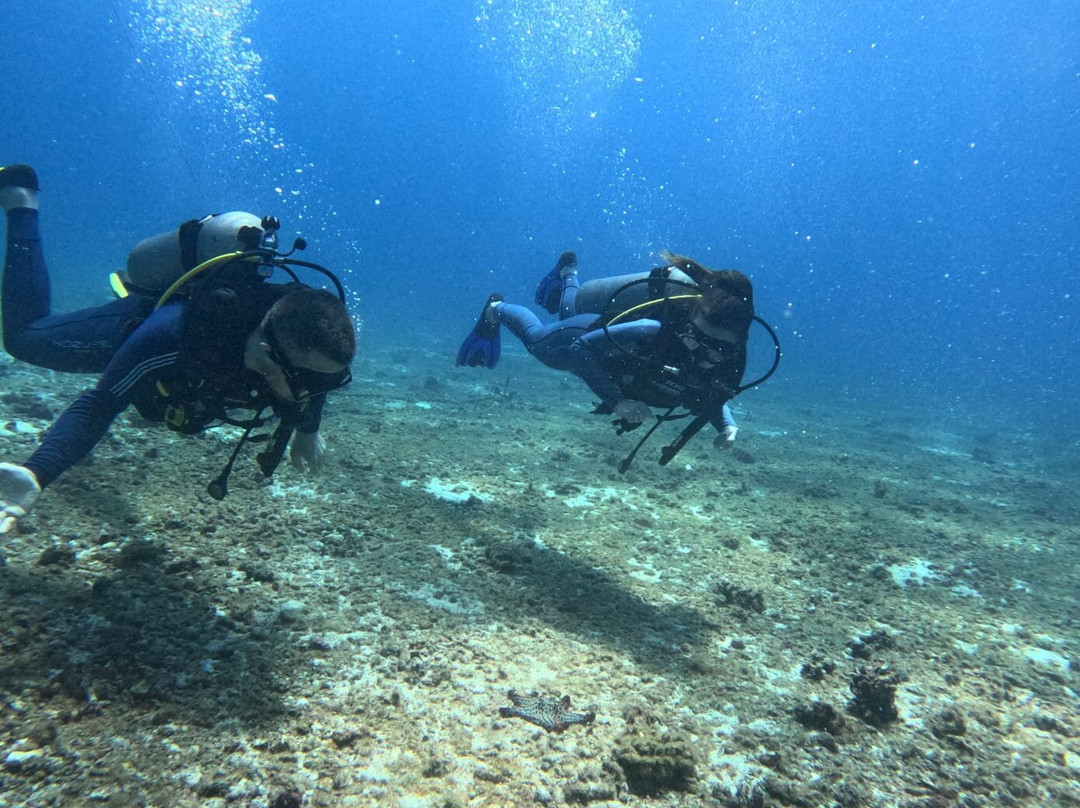 Diving Coiba景点图片