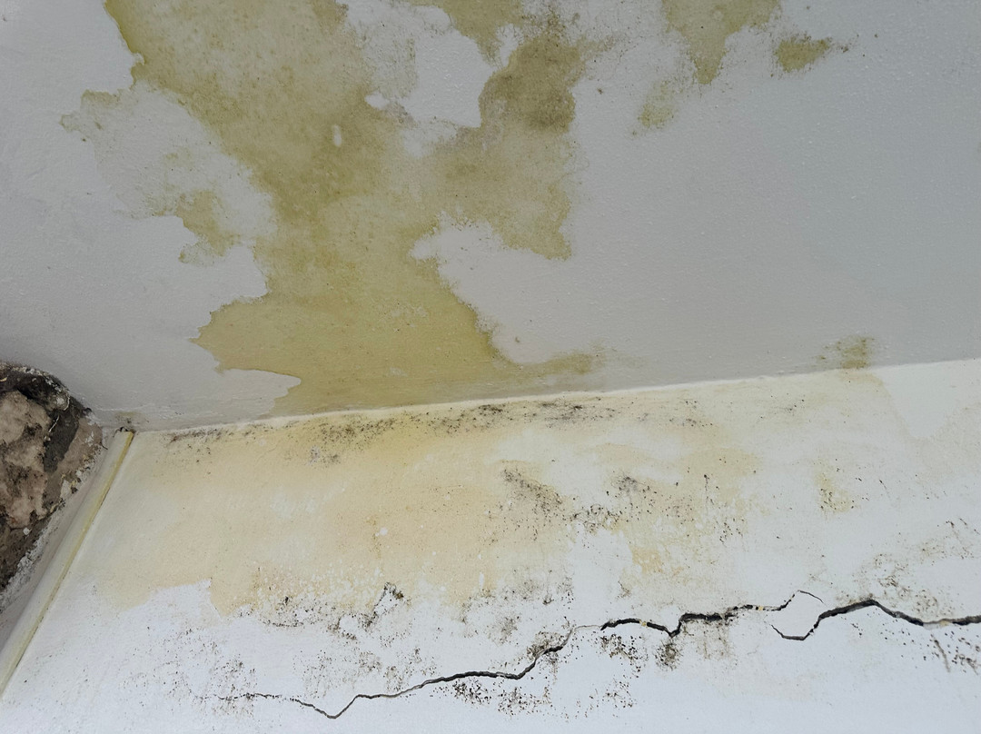 The Palms at Pelican Cove主图