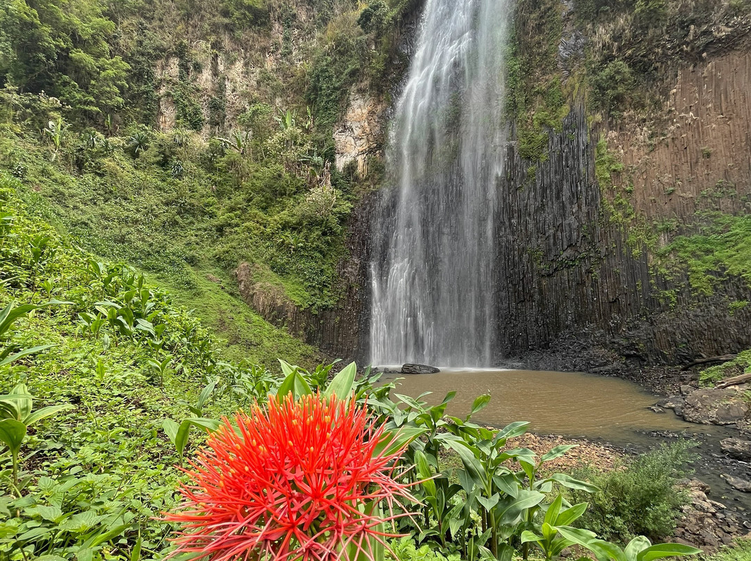 Barta Waterfall-Bonga必去景点