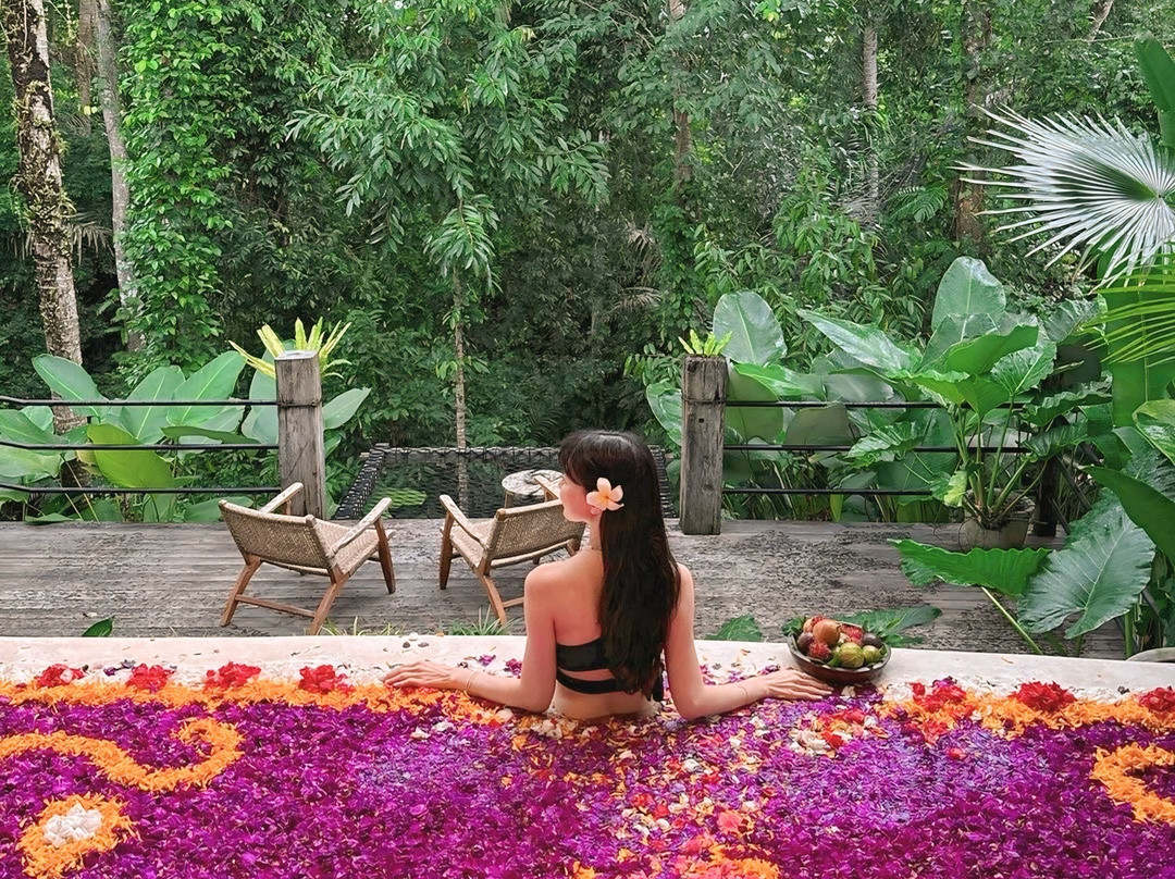 Casa Pohon Ubud主图