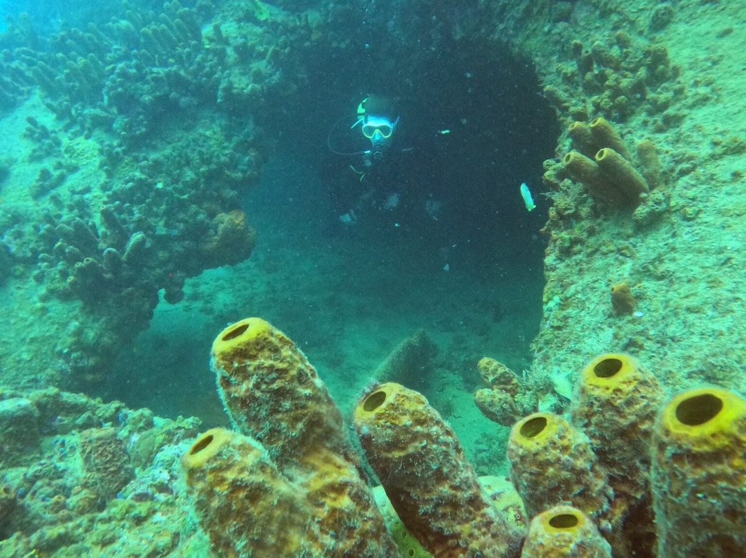 Aruba Premier Boat and Dive景点图片