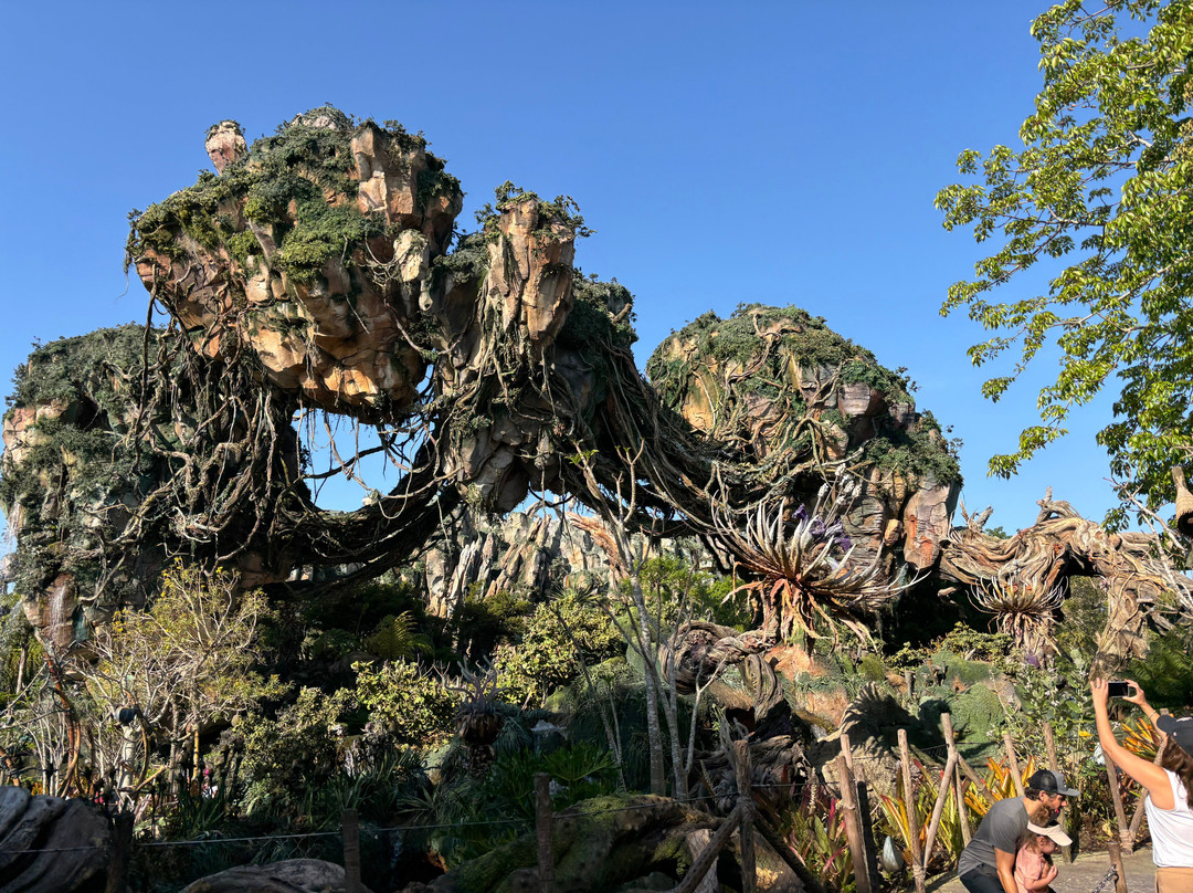 Pandora – The World of Avatar-奥兰多必去景点