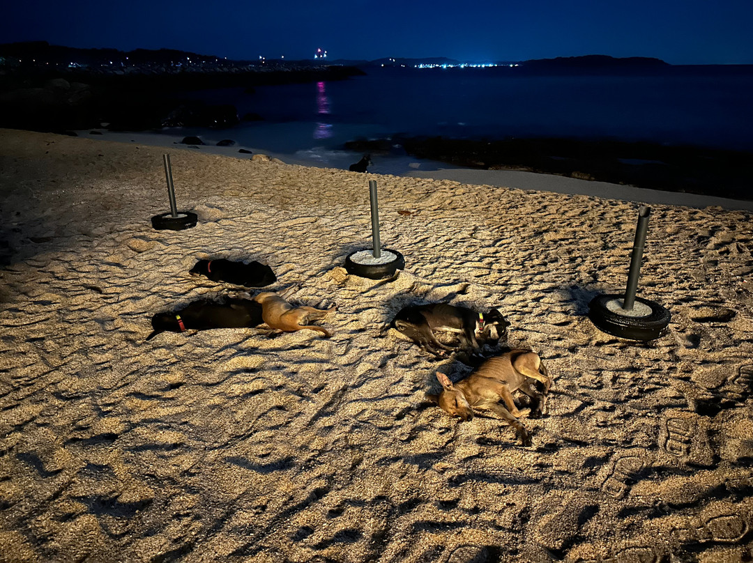 Blue beach island-Nilwella必去景点