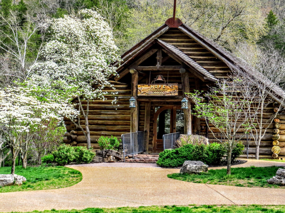 Dogwood Canyon Nature Park景点图片