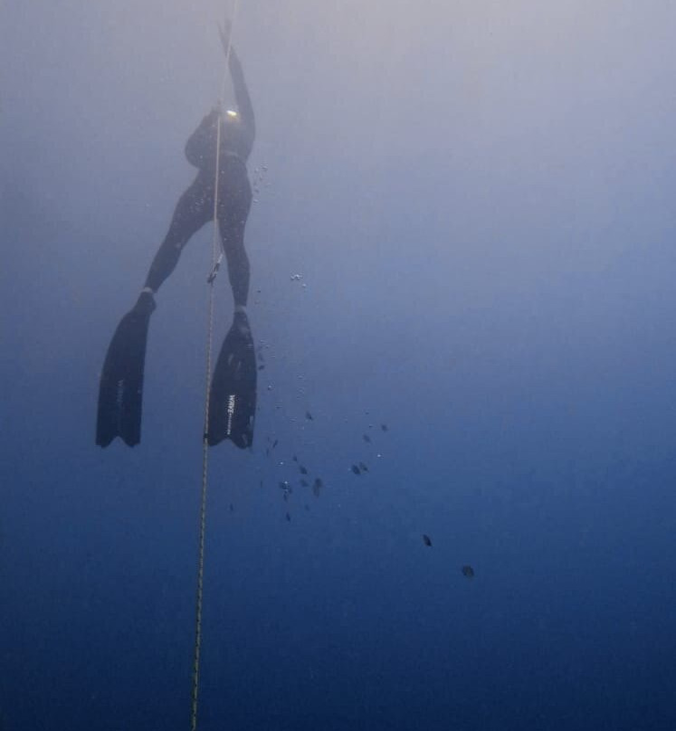 Coral Coast Freediving-Korolevu必去景点