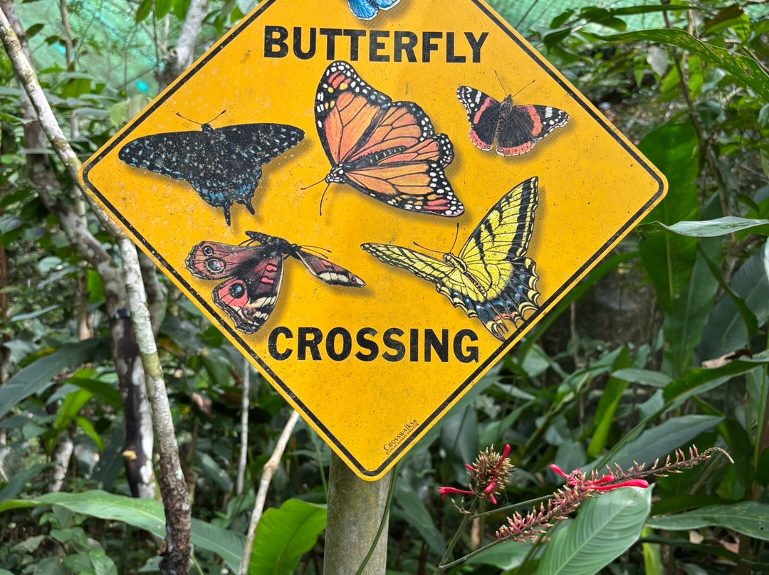 Pilpintuwasi - Wildlife Rescue Center And Butterfly Farm景点图片