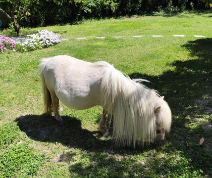 Gite de Charme主图