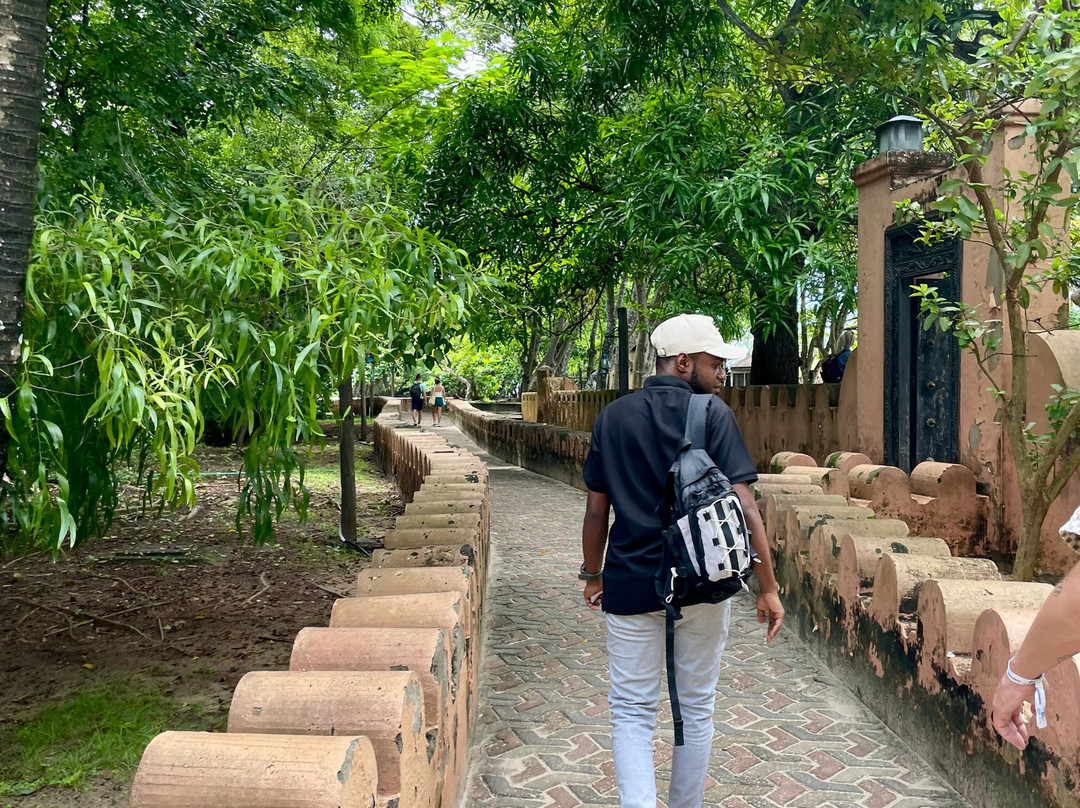 Joyful To Zanzibar-Kizimkazi Dimbani必去景点