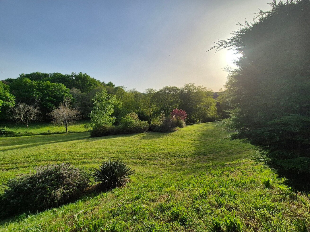 勒马斯 卡斯特酒店主图