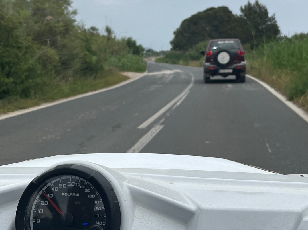 Buggy Mallorca Tours-阿尔库迪亚港必去景点