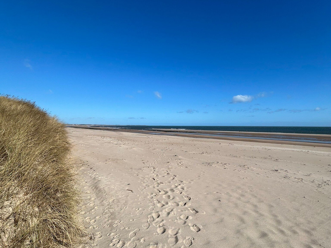 Cresswell Beach景点图片