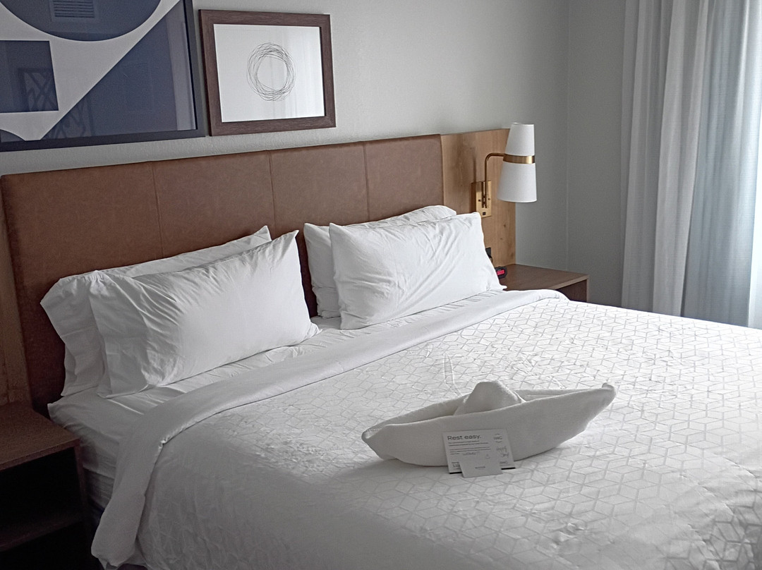 罗切斯特大学斯桥套房酒店主图