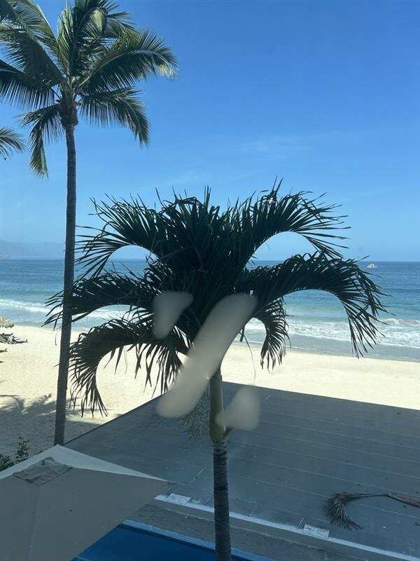 Hyatt Ziva Puerto Vallarta主图