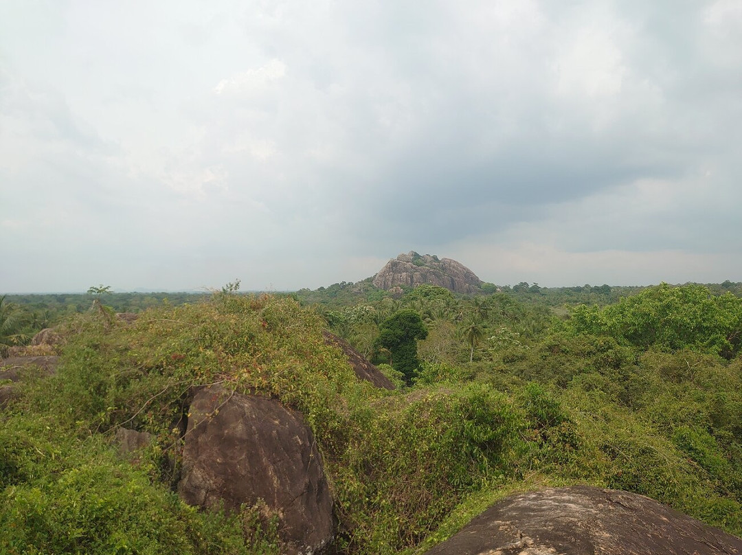 Thonigala Rock Inscriptions-Thonigala必去景点