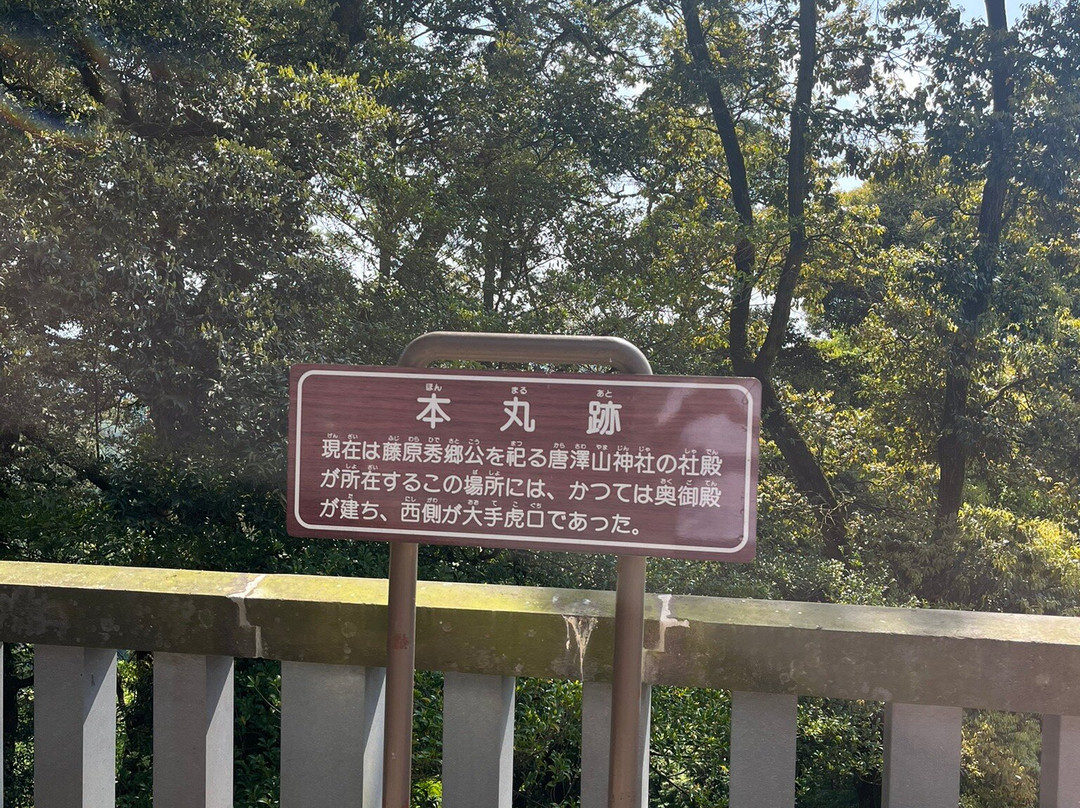 Karasawayama Castle Ruins-佐野市必去景点