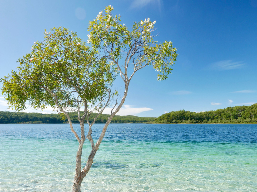 K'gari Explorer Tours-弗雷泽岛必去景点
