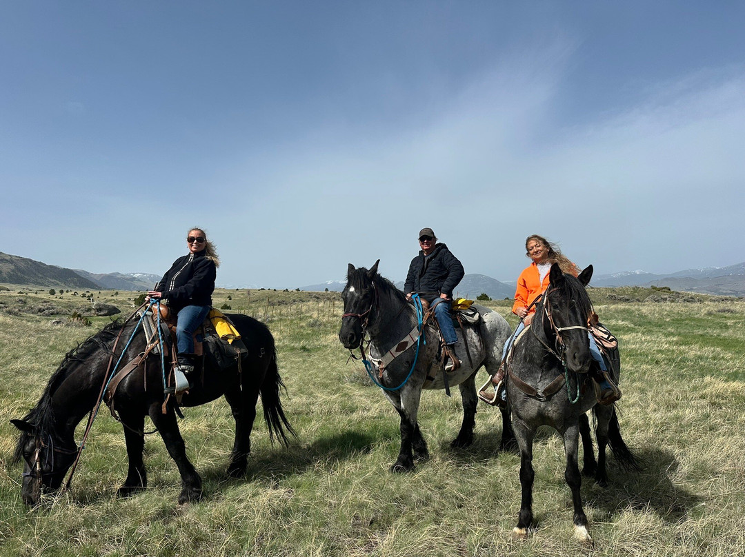 Rockin' HK Outfitters-Chico必去景点