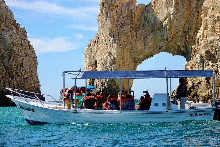 Cabo Ocean Tours-卡波圣卢卡斯必去景点