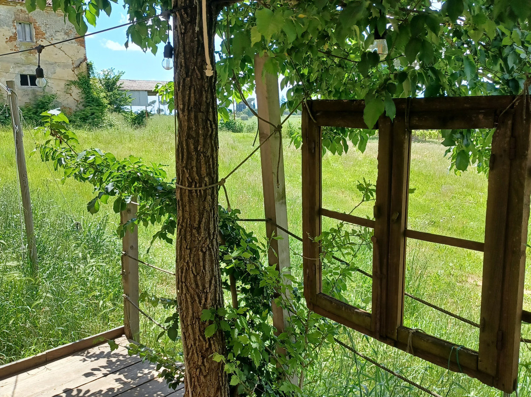 Agriturismo La Terra主图