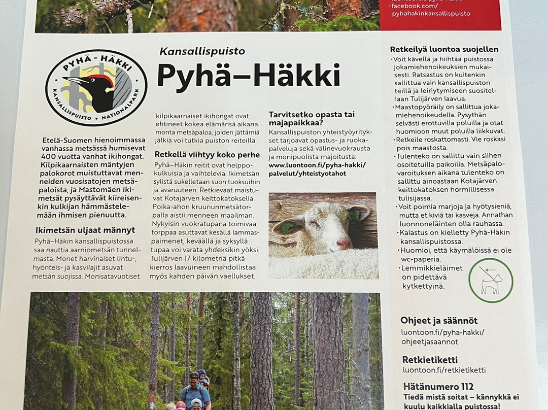 Pyha-Hakki National Park景点图片