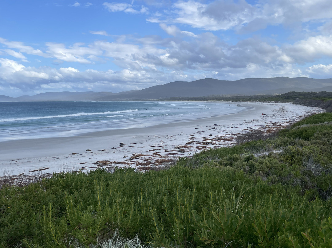 Seymour Beach-比奇诺必去景点